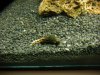 DSCF1031.JPG