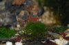 DSC_0021_600x600_100KB.jpg