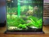 100_0043.JPG