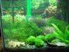 100_0044.JPG