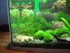 100_0048.JPG