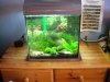 100_0049.JPG