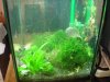 100_0050.JPG