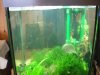 100_0051.JPG
