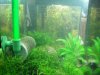 100_0052.JPG