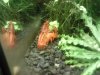 Foto141.jpg