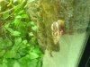 DSC00404.JPG