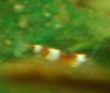 TEST.JPG