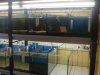 DSC02092_resize.JPG
