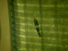 DSCF1041.JPG