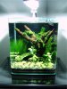 20l Nano.JPG