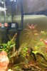 Filter-DSC00730.jpg