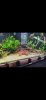 Screenshot_20220131-102525_Gallery.jpg