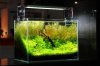 CO2-Anlage-im-Aquarium.jpg