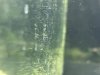 EE77D378-8A49-4979-A4CC-FC0DF33F3356.jpeg