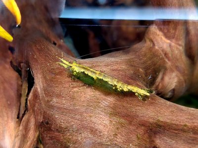 WhatsApp Image 2022-08-03 at 21.13.44 (1).jpeg