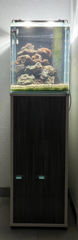 Aquarium und Schrank.jpg