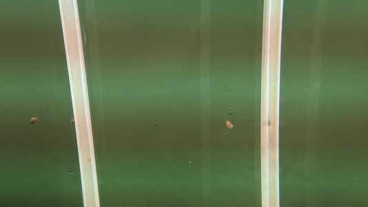PXL_20230401_121525740.jpg