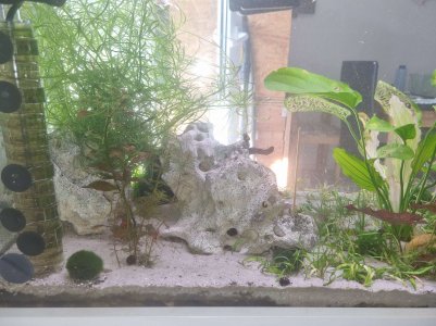 20230729_174750.jpg