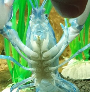 WhatsApp Bild 2023-08-22 um 13.40.52.jpg