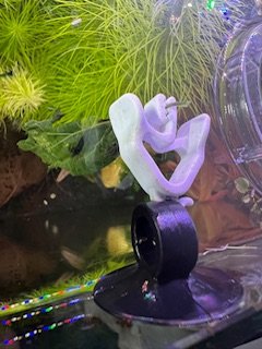 IMG_8086.jpeg