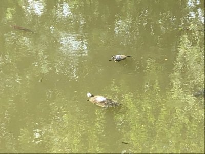 Photo-1.jpeg