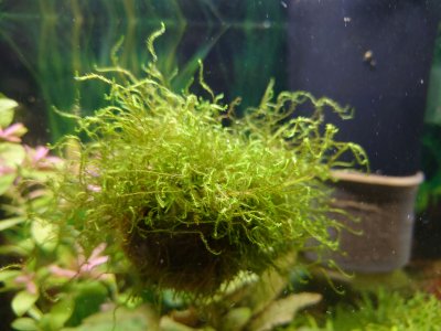 DSC_5629 neu.jpg