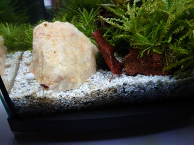 DSC_5636 neu.jpg