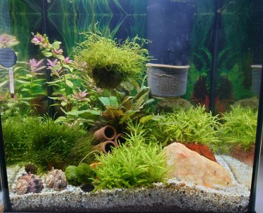 IMG_20240627_182920 neu.jpg