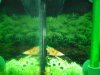 100_0075.JPG