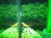 100_0079.JPG