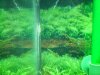 100_0080.JPG