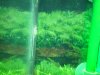 100_0083.JPG