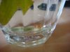 DSC02623.JPG