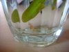 DSC02626.JPG