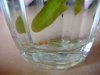 DSC02627.JPG