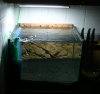 IMG_7450.JPG