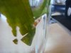 DSC02632.JPG
