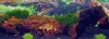STH70281_edited.JPG