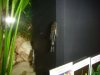 DSC02642.JPG