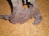 100_0006.JPG
