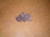100_0008.JPG