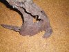100_0009.JPG