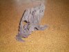 100_0013.JPG