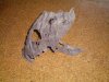 100_0014.JPG