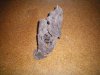 100_0030.JPG