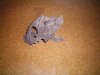 100_0031.JPG
