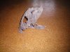 100_0032.JPG