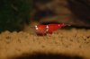 DSC_0058_600x600_100KB.jpg