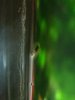 2009-10_komische_Tiere_005.jpg
